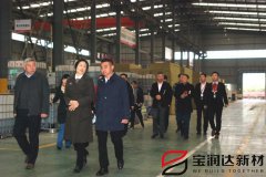 爨麗敏市長一行蒞臨寶潤達(dá)視察